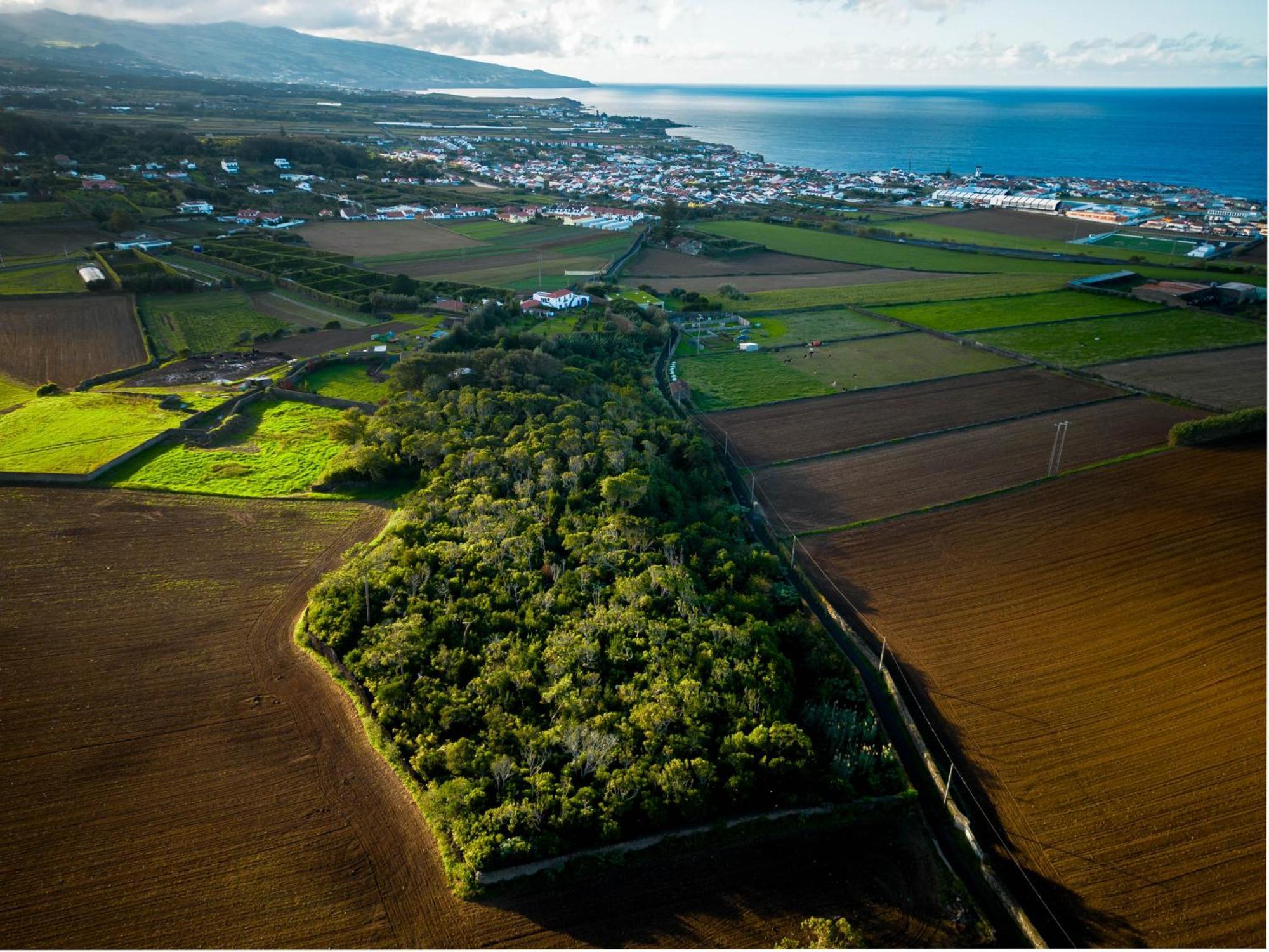 Quinta Morazes Casas De Campo Ribeira Grande Eksteriør billede
